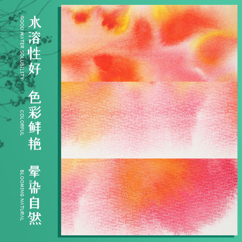 Premium Solid Watercolor Set